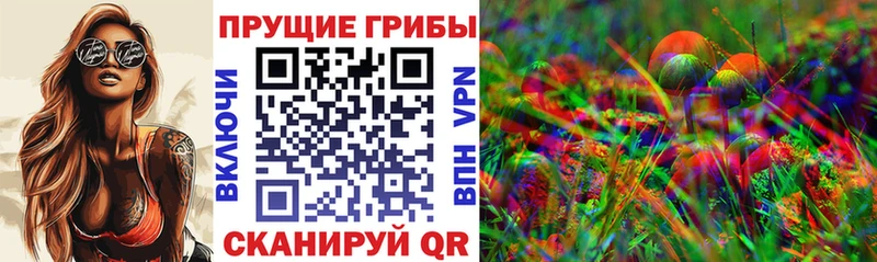 Псилоцибиновые грибы мухоморы  ссылка на мегу вход  Звенигово 